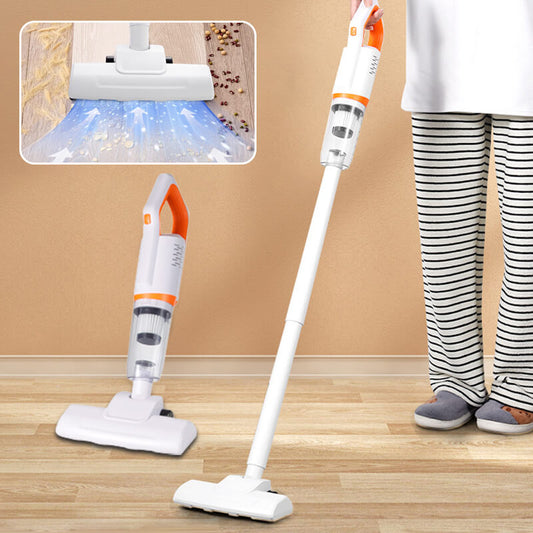 Aspirateur portable sans fil et aspirateur anti-acariens (2 en 1)